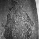 fot. Barbara Tondos, 1961 r. 