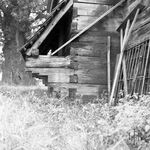 fot. J. Tur, 90. XX w.