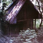 Oleh W. Iwanusiw, Church in Ruins, Ontario 1987