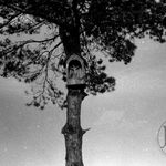 fot. Barbara Tondos, 1959 r. 