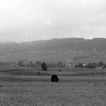 fot. Barbara Tondos, l. 60-te XX w. 