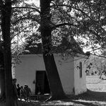 fot. J.T, B.T., wrzesień 1961 r.