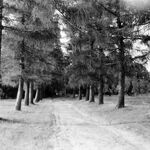 fot. B. Tondos, wrzesień 1965 r.