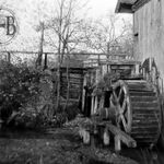 fot. B. Tondos, jesień 1965 r.
