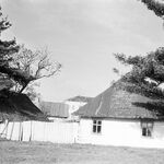 fot. B. Tondos, 1963 r.
