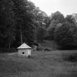 fot. Barbara Tondos, 06.1960 r. 