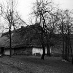 fot. B. Tondos, listopad 1963	r.