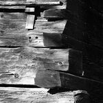 fot. Barbara Tondos, 1961 r. 