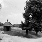 fot. Barbara Tondos, 1960 r. 