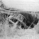 fot. J. Tur, 1961 r. 