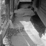 fot. Jerzy Tur, 1961 r. 