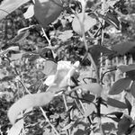 fot. B. Tondos, lipiec 1965 r.