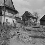 fot. J. Tur, 1959 r. Zagroda (2)