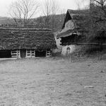 fot. Jerzy Tur, jesień 1959 r. 