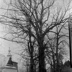 fot. Jerzy Tur, 1961 r.  