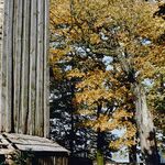 fot. Jerzy Tur, lata 70. XX w. 