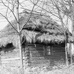 fot.. Barbara Tondos, l. 60-te XX w. 