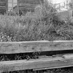 fot. J. Tur, 1966-1967 r., konserwacja więźby dachowej