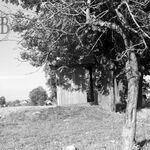 fot. Barbara Tondos, 1963 r. 