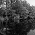 fot. Jerzy Jawczak, przed 1979 r. 