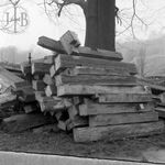 fot. J.T., B.T., koniec lat 80. XX w. 