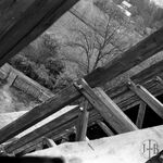 fot. J. Tur, 1966-1967 r., konserwacja więźby dachowej.