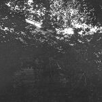 fot. Barbara Tondos, 1961 r. 