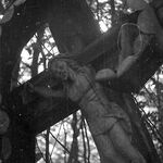 fot. Barbara Tondos, 1961 r. 