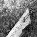 fot. J. Tur, 1966-1967 r., konserwacja więźby dachowej