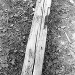 fot. J. Tur, 1966-1967 r., konserwacja więźby dachowej