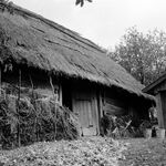 fot. B. Tondos, październik 1963	r.