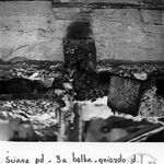 fot. Barbara Tondos i Zbigniew Jucha, 1971 r.