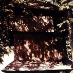 Oleh W. Iwanusiw, Church in Ruins, Ontario 1987