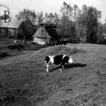 fot. B. Tondos, październik 1963 r.