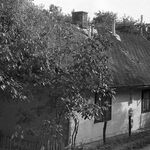 fot. J. Tur, czerwiec 1969 r. 