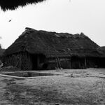 październik	1965 r., obora.