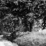 fot. Barbara Tondos, 1967 r. 