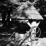 fot. J.T, B.T., wrzesień 1961 r.