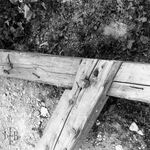 fot. J. Tur, 1966-1967 r., konserwacja więźby dachowej