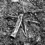 fot. Jerzy Tur, 1961 r. 