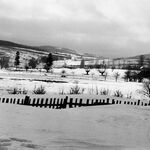 fot. W. Wierzbiański