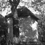 fot. Barbara Tondos, 1961 r. 