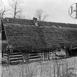 fot. Jerzy Tur, jesień 1959 r. 