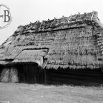 październik	1965 r., stodoła.