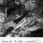 fot. Barbara Tondos i Zbigniew Jucha, 1971 r.