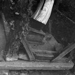 fot. Jerzy Tur, l. 60-te XX w.  