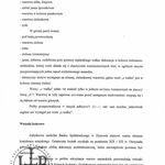 B. Tondos, Opinia o możliwości istnienia polichromii w budynku przy ul. Mickiewicza 3 w Dynowie, 2002, TT_36_012_004