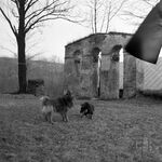 fot. Jerzy Tur, 1986 r. 