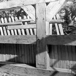 fot. J. Tur, 1966-1967 r., konserwacja sobotów