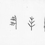 Fot. 12. Podstol, Rzęsa, ostrewka, kłósko, cetyna, - motywy tradycyjnej ornamentyki góralskiej. Wg Wł. Matlakowskiego: Zdobienie i sprzęt ludu polskiego na Podhalu i na podstawie rysunków Wł. Klamerusa, sygn. TT_36_024_36